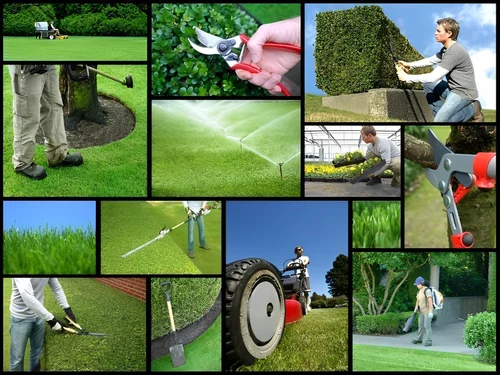 service-1 horticulture maintenance 500x500